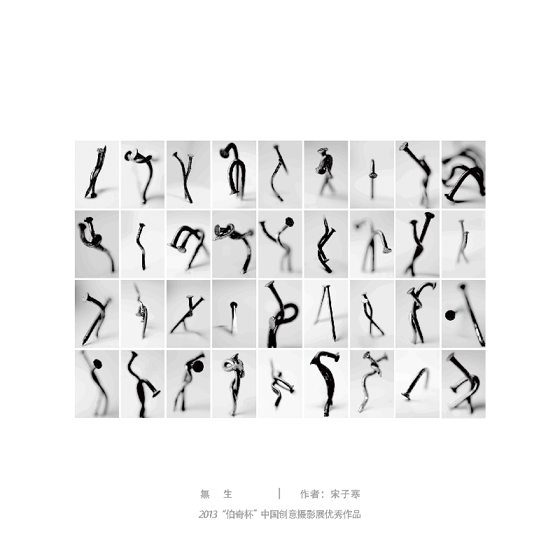 006-无生-2013“伯奇杯”中国创意摄影展优秀作品-作者：宋子寒