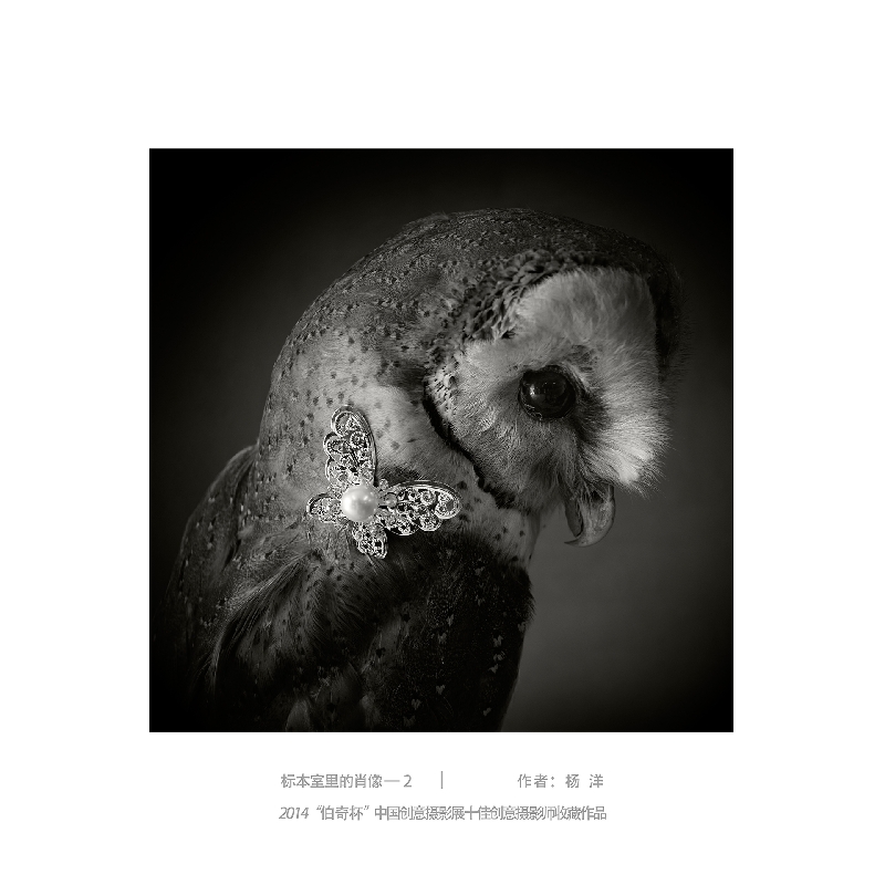 020-标本室里的肖像2-2014“伯奇杯”中国创意摄影展十佳创意摄影师收藏作品-作者：杨洋