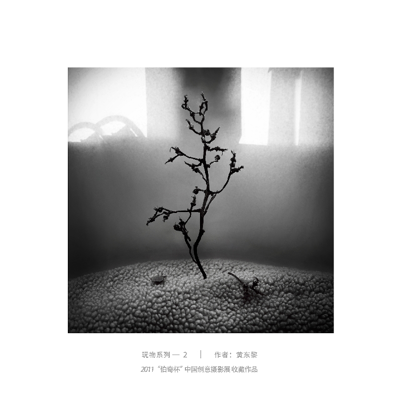 026-玩物系列2-2011“伯奇杯”中国创意摄影展收藏作品-作者：黄东黎