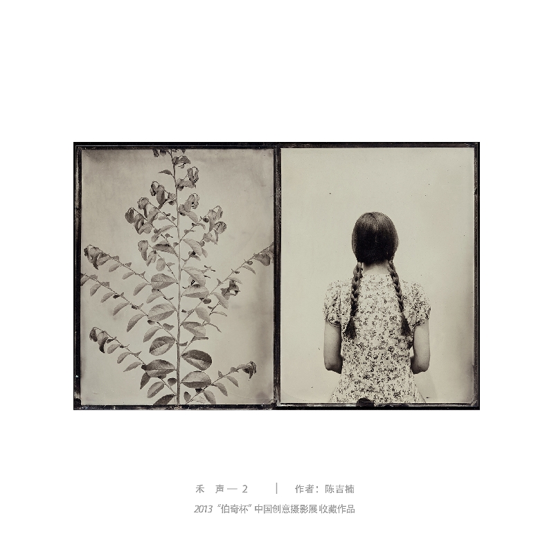 028-禾声2-2013“伯奇杯”中国创意摄影展收藏作品-作者：陈吉楠