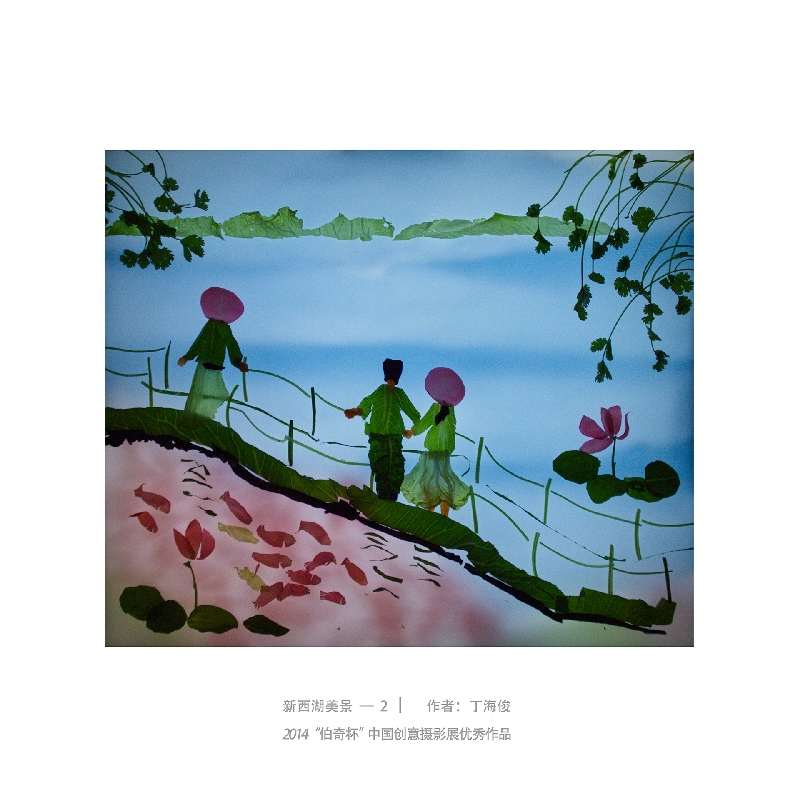042-新西湖美景2-2014“伯奇杯”中国创意摄影展优秀作品-作者：丁海俊