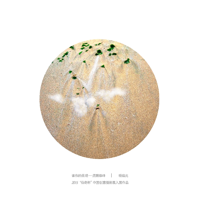 070-谁做的景观3-2015“伯奇杯”中国创意摄影展入展作品-作者：杨焰光