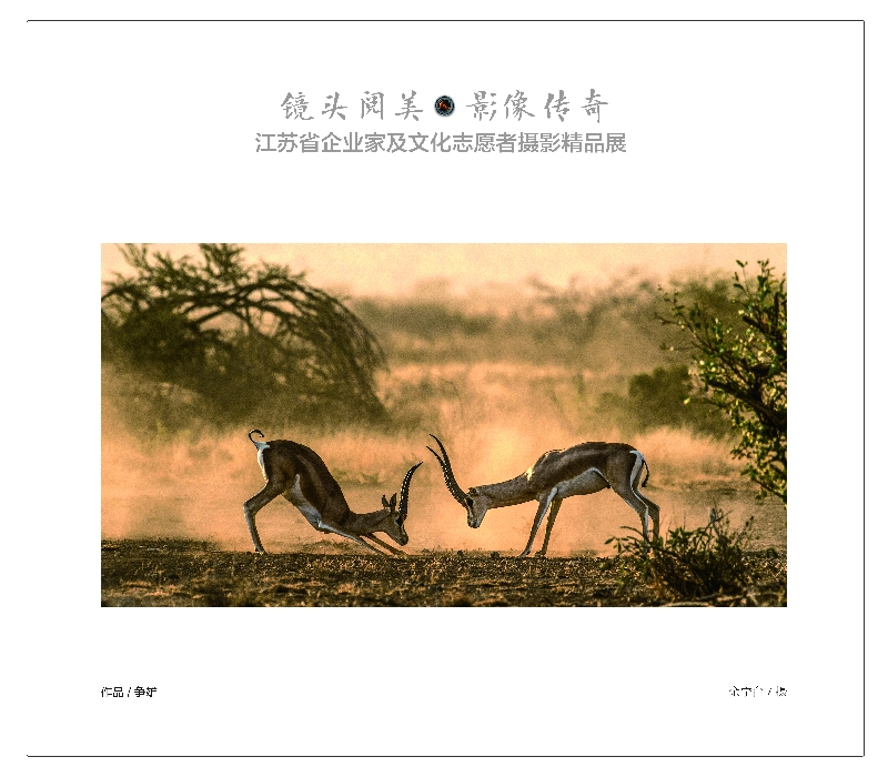 80X70cm-62