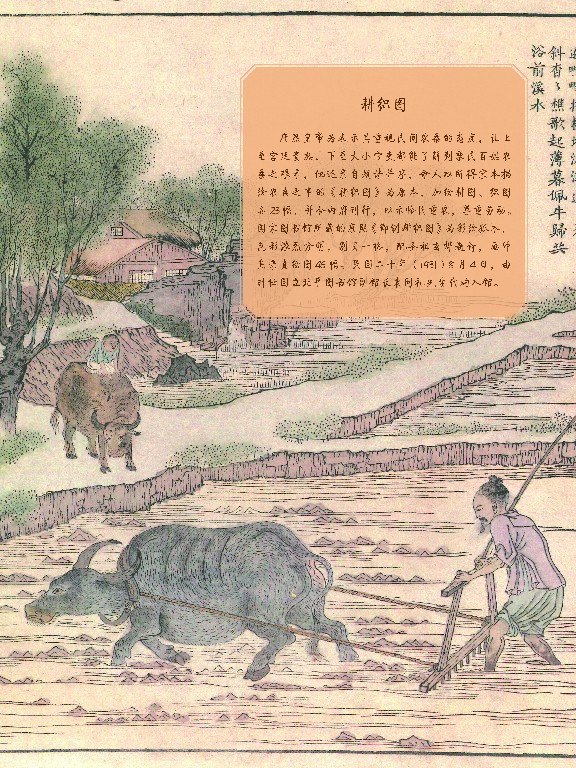 辛丑话牛34.jpg