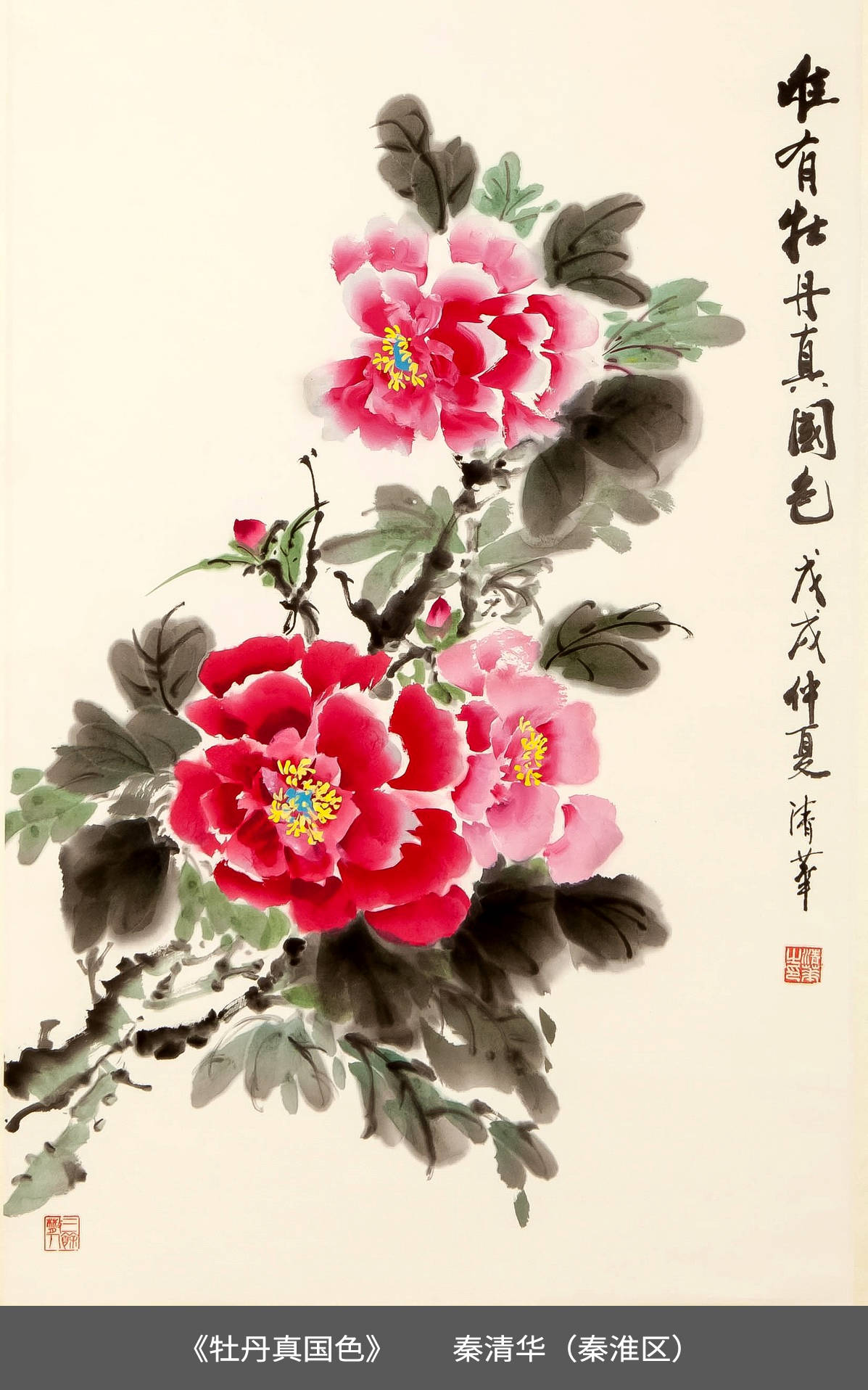 24.秦淮区-秦清华-国画《牡丹真国色》.jpg