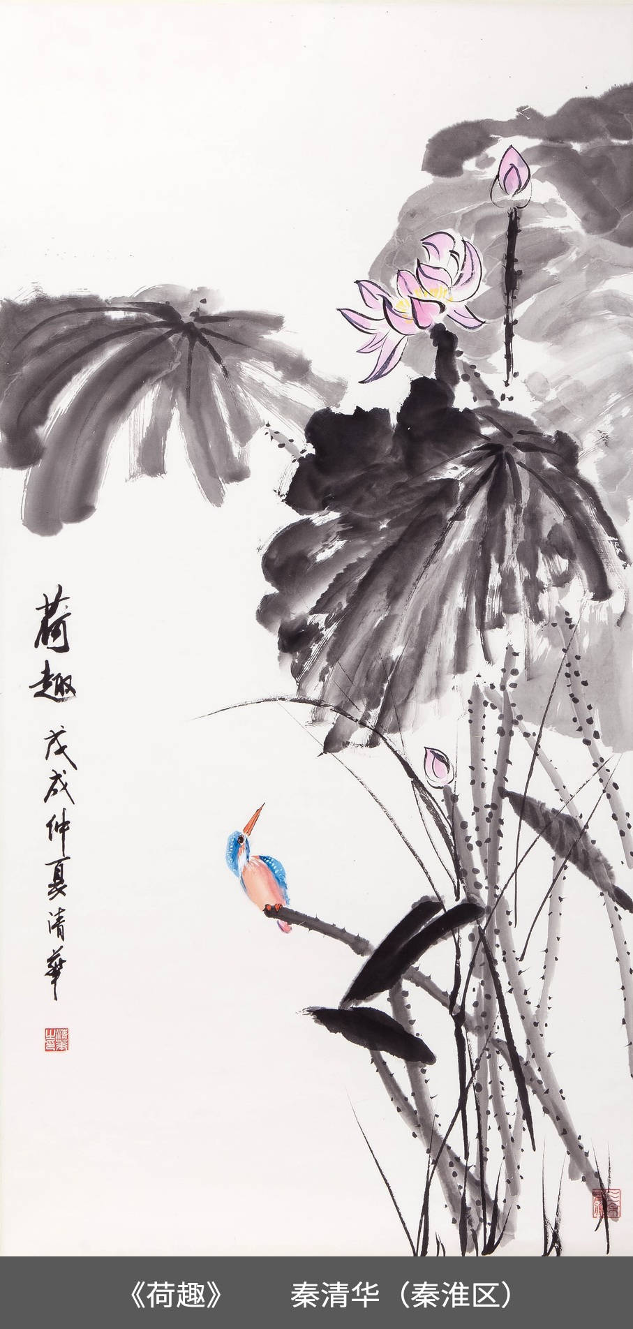 25.秦淮区-秦清华-国画《荷趣》.jpg