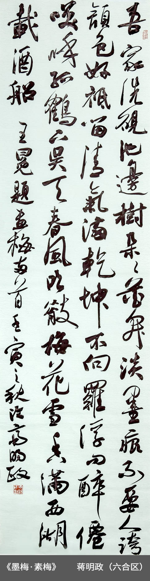 51.六合区-蒋明政-书法《墨梅·素梅》.jpg