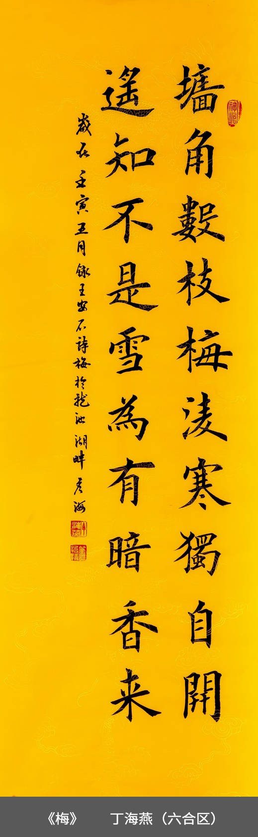 57.六合区-丁海燕-书法《梅》.jpg