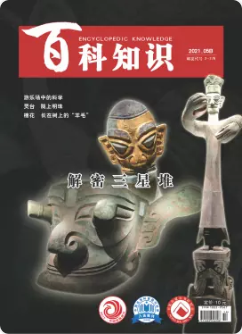 期刊架位号[1262]