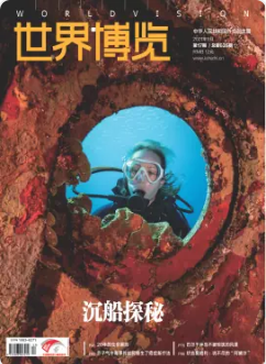期刊架位号[8675]