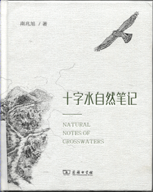 十字水自然笔记