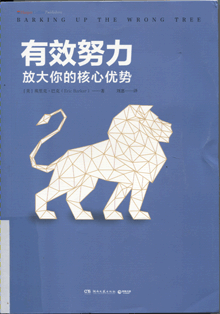 有效努力:放大你的核心优势