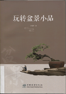 玩转盆景小品