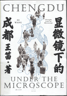 显微镜下的成都