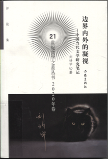 边界内外的凝视:中国当代文学研究笔记