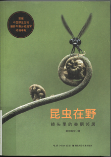 昆虫在野:镜头里的美丽邻居
