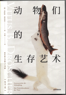 动物们的生存艺术
