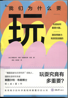 我们为什么要玩:玩是如何重塑大脑，激发想象力和改变自我的