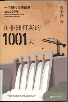 在非洲打灰的1001天:一个现代化的故事