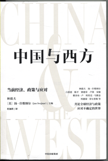中国与西方:当前经济、政策与应对